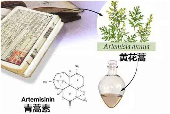 星空平台,星空平台(中国)：向中医药看齐，与世界共享中医药文化(图1)